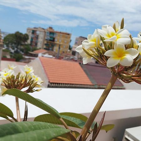 Apartamento Plumaria Málaga Kültér fotó